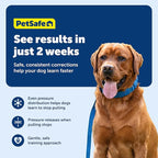 PetSafe Soft Point Training Collar - Comfortable No-Pull Adjustable Quick-Release Collar with Removable Soft Rubber Points - Pain-Free Training for Better Leash Manners - Large - Blue