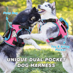 WINGOIN Tactical Dog Harness for Small Dogs, No Pull Harness with Handle Pockets Poop Bag, Reflective Dog Vest, Military Service Heavy Duty Big Dog Harness for Walking Hiking Training (Pink Blue, S)