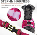 PUPTECK Dog Harness and Leash Set for Small Medium Dogs No Pull Step-in Soft Mesh Puppy Cat Vest Harnesses Reflective at Night, Fuchsia, S