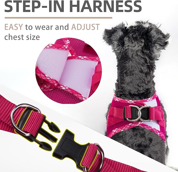 PUPTECK Dog Harness and Leash Set for Small Medium Dogs No Pull Step-in Soft Mesh Puppy Cat Vest Harnesses Reflective at Night, Fuchsia, M