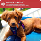 Downtown Pet Supply Step-in Dog Harness – No Pull, Adjustable Padded Mesh with Reflective Trim, Secure Buckle Strap – Comfortable & Breathable Small Dog Harness, Medium, Space