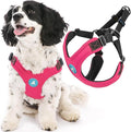 Gooby Escape Free Sport Harness - Pink, Small - No Choke Step-in Patented Neoprene Dog Harness with Four-Point Adjustment for Small to Medium Dogs