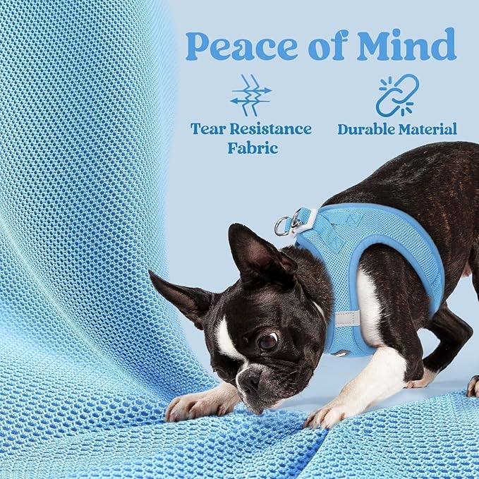 rabbitgoo Small Dog Harness, Step-in Soft Mesh Puppy Vest with Safety Buckle, Breathable Reflective Pet Harness for Extra Small Dogs, Blue XXS