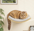 4-Piece Cats Wall Furniture with Cat Window Perch – Wood Wall Mounted Cat Shelves Set with Foam-Padded Curved Bed, Flat Perch & 4-Step Cats Stairs