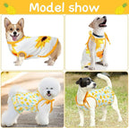 Frienda 4 Pieces Dog Clothes Set Include 2 Pcs Cute Pet Dress Lovely Dog Dress and 2 Pcs Breathable Pet T Shirt Puppy Clothes(Pineapple, Sunflower,X-Large)