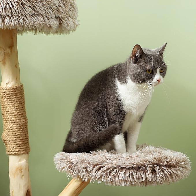 Modern 35” Cat Tree with Solid Wood Scratching Post – Indoor Cat Tower with Plush Bed & Rope Toy, Stable Round Base, Natural Brown Cat Condo for Cats Under 10 lbs