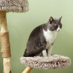 Modern 35” Cat Tree with Solid Wood Scratching Post – Indoor Cat Tower with Plush Bed & Rope Toy, Stable Round Base, Natural Brown Cat Condo for Cats Under 10 lbs