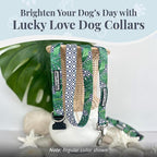 Lucky Love Dog Martingale Collar, Premium No Slip Martingale Collar for Large Boy Dogs, Great for Whippets, Greyhounds, and More (Large, Blue Laguna)