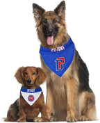 Pets First NBA Dog Bandana - Detroit Pistons Reversible Pet Bandana. 2 Sided Home & Away Sports Bandana with a PREMIUM Embroidery TEAM Logo, Small/Medium