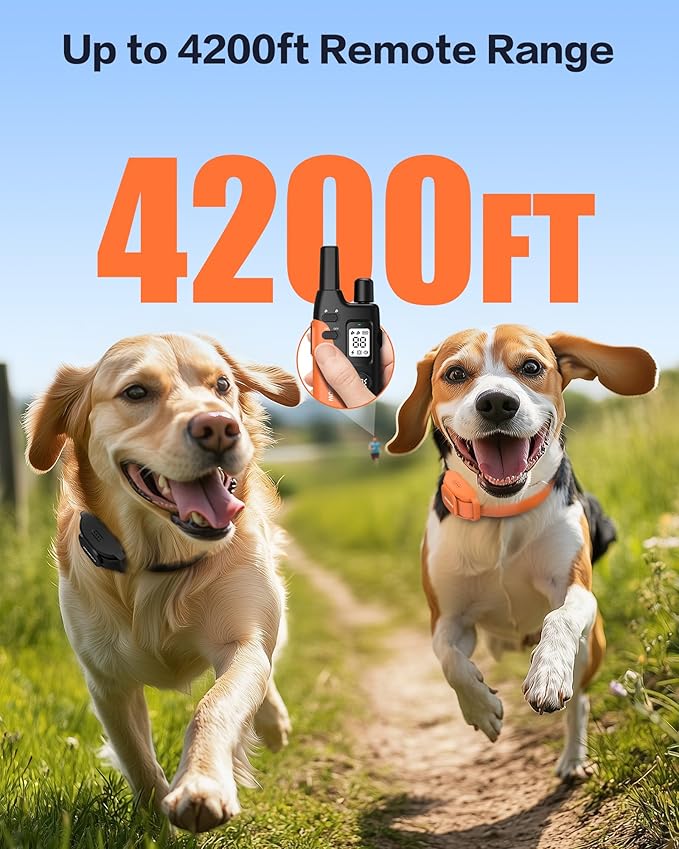 Jugbow Dog Shock Collar 2 Dogs - 4200FT Dog Training Collars with Remote for Large Medium Dogs, LED Light IPX8-Waterproof Rechargeable E-Collar with Beep (1-3), Vibration(1-3), Shock(0-16