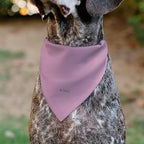 Disney Pet Bandana Minnie Mouse Smiling Face Close Up Pink Slip On Collar Bandana Only
