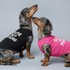 Fitwarm Cute But Psycho Dog Shirt, Summer Clothes for Small Dogs Boy Girl, Funny Pet Outfit, Black, White, Small