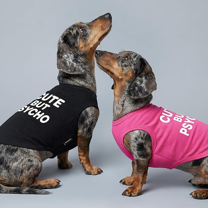 Fitwarm Cute But Psycho Dog Shirt, Summer Clothes for Small Dogs Boy Girl, Funny Pet Outfit, Black, White, Medium