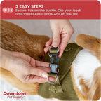 Downtown Pet Supply Step in Dog Harness No Pull, XX-Large, Hunter Green - Adjustable Harness with Padded Mesh Fabric and Reflective Trim - Buckle Strap Harness for Dogs