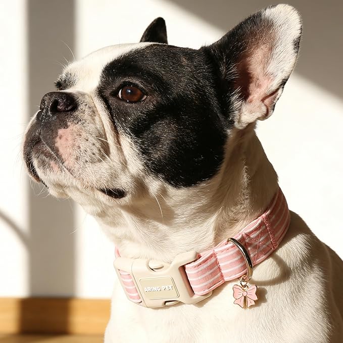 ARING PET Stripe Dog Collar, Cute Spring Summer Pink Stripe Pet Collars with Bow Charm for Puppy Small Medium Large Female Girl Dogs-XS, for Daily Outdoor Walking Training