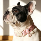 ARING PET Stripe Dog Collar, Cute Spring Summer Pink Stripe Pet Collars with Bow Charm for Puppy Small Medium Large Female Girl Dogs-XS, for Daily Outdoor Walking Training