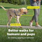 PetSafe Easy Walk Harness for Dogs - Pull-Free Walks - Patented Martingale Loop Design - Front Chest Leash Attachment - Comfort Straps - Breathable Harness Design - Large, Charcoal/Black