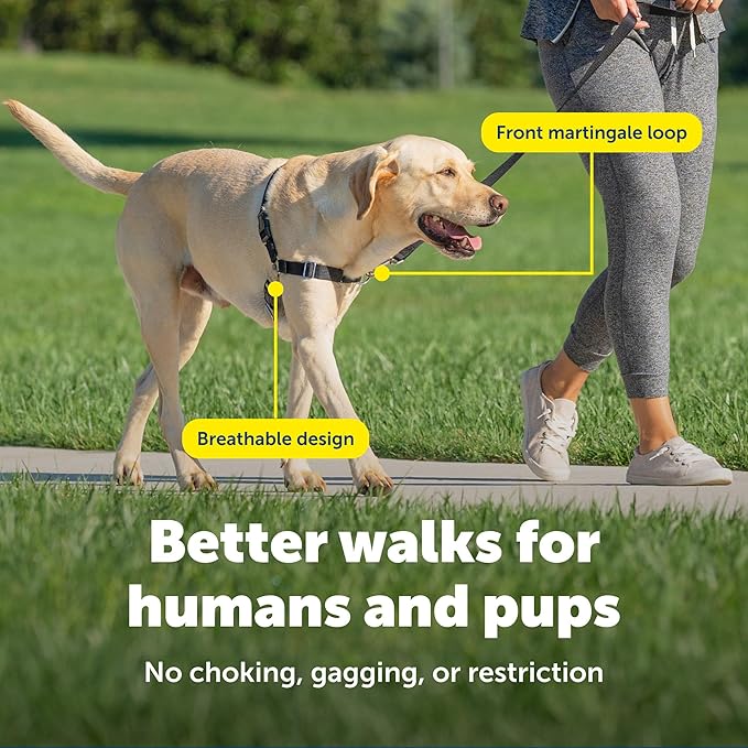 PetSafe Easy Walk Harness for Dogs - Pull-Free Walks - Patented Martingale Loop Design - Front Chest Leash Attachment - Adjustable Comfort Straps - Breathable Harness Design - Large, Black/Silver