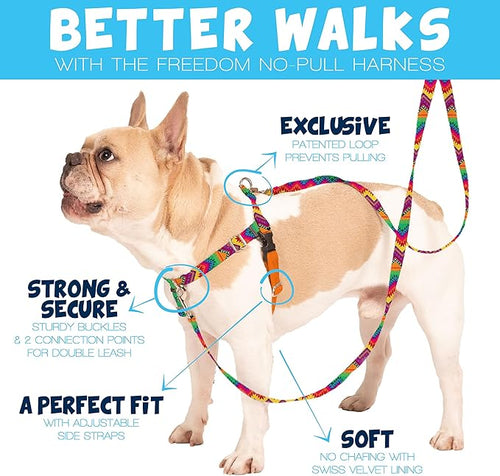 2 Hounds Design - Freedom No-Pull Harness & Training Leash in Green Aloha | Dual Leash Loops, No Pulling on Walks | Lined to Prevent Chaffing | for Large Sized Dogs (Size M, Chest 24”- 28”)