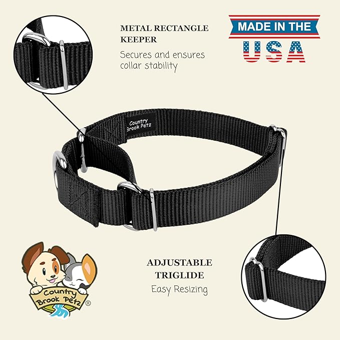 Country Brook Petz - Martingale Dog Collar - Heavy-Duty Training Collar with No Buckle - Service Dog Collar for All Pups - 10+ Cool Colors (Black, 5/8 Inch, Extra Small)