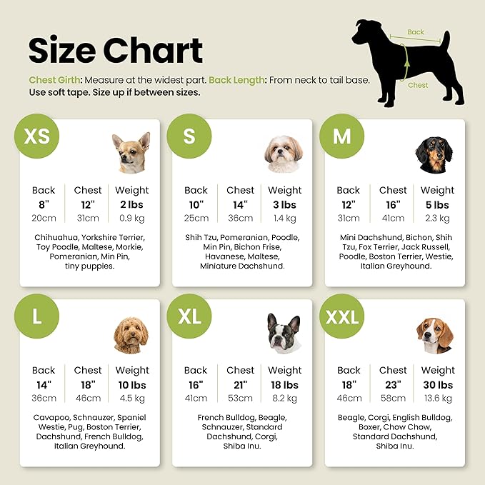 Fitwarm Happy Easter Bunny Dog Shirt, Easter Dog Clothes for Small Dogs Boy Girl, Cute Pet Outfit, Green, Blue, White, Orange, Small