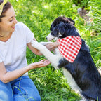 Segarty 10 Pack Dog Bandanas Triangle, 22.8"x15.7" Washable Plaid Bibs Accessories Bulk for Small Medium Dogs Cats Large Puppy, Adjustable Pet Scarf Reversible Boy Pets Birthday Kerchief
