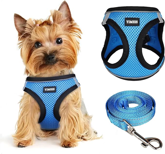 Dog Harness for Small Dogs and Leash Set, Honeycomb Grid, Reflective Lightweight Harness & Anti-Twist Pet Lead Multi Color, Size: XS-S-M. (XS, Marine Blue)