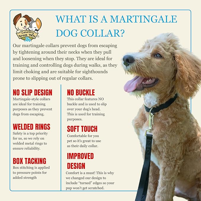 Country Brook Petz - Martingale Dog Collar - Heavy-Duty Training Collar with No Buckle - Service Dog Collar for All Pups - 10+ Cool Colors (Black, 3/8 Inch, 3XS)