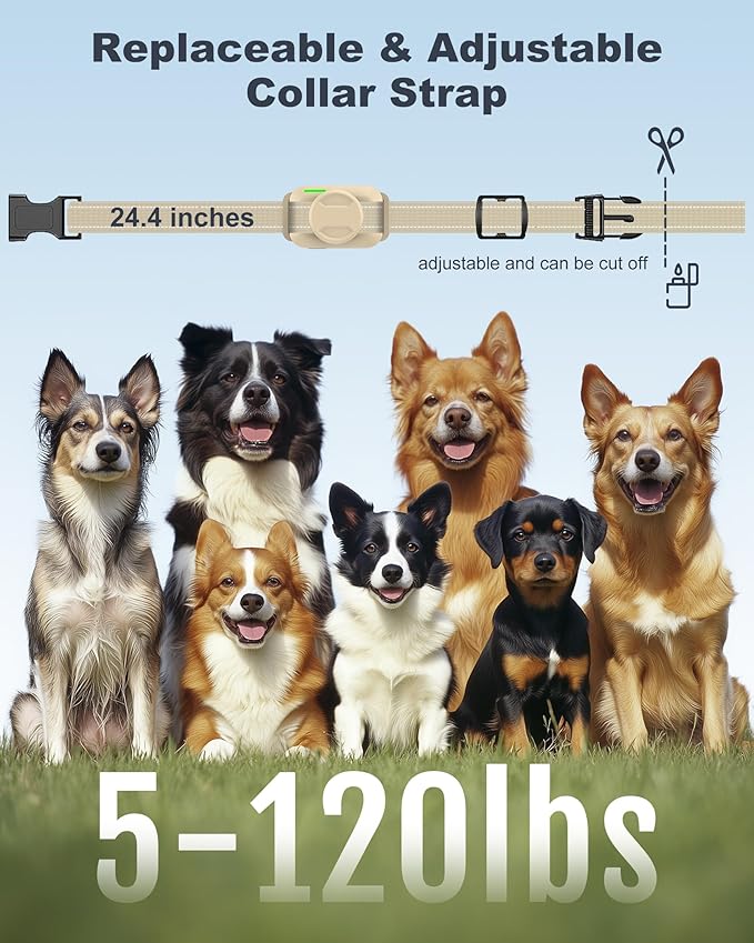 Dog Training Collar with Remote – 4200FT Range, Waterproof IPX8 Rechargeable E-Collar, Beep (1-3), Vibration (1-3), and Static (0–99) for Small Medium Large Dogs