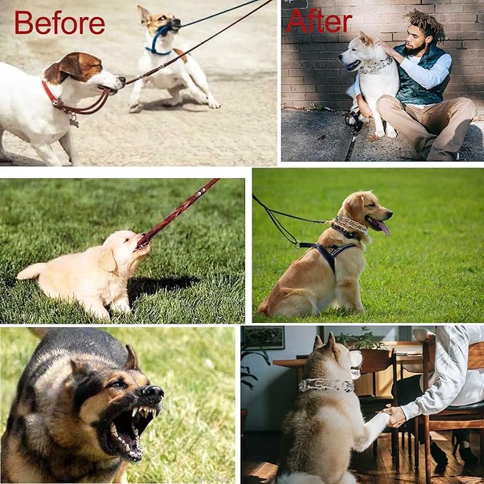 Darkyazi Durable Pinch Collar Stainless Steel Dog Adjustable Pet Training Collar for Medium Large Dogs (X-Large (Pack of 1), Silver)