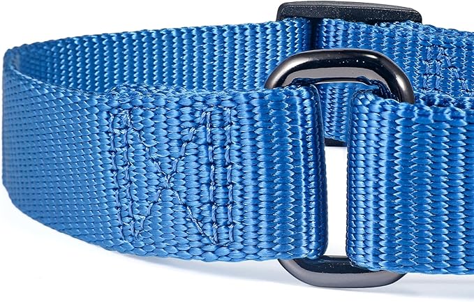 Premium Nylon Adjustable Anti-Escape Martingale Dog Collars,Heavy Duty D-Ring for Large Active Dogs Walking,Training,etc...(Classic Blue, Large)