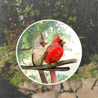 Screen Door Magnets Double Sided – Keep People, Kids, and Dogs from Running into The Screen Door - Robbins Aria Cardinal