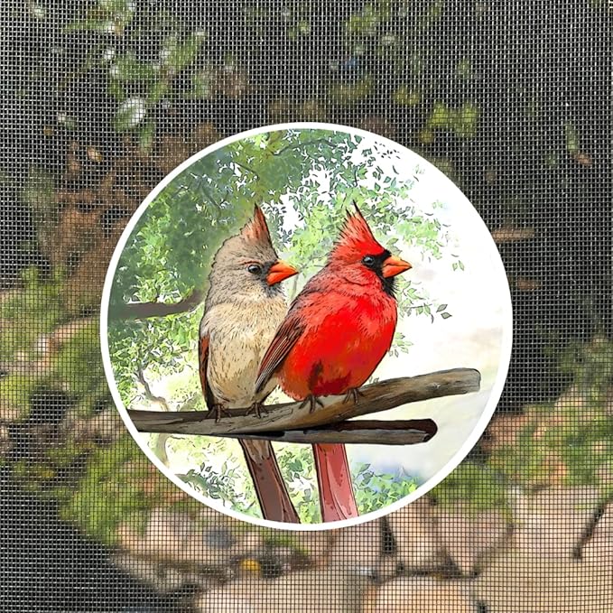 Screen Door Magnets Double Sided – Keep People, Kids, and Dogs from Running into The Screen Door - Robbins Aria Cardinal