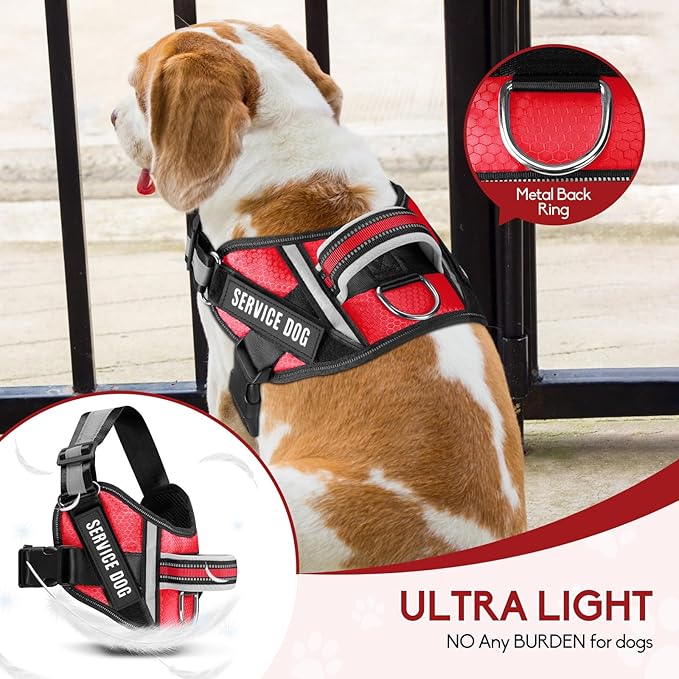 Service Dog Vest Harness and Leash Set, Animire in Training Dog Harness with 10 Dog Patches, Reflective Dog Leash with Soft Padded Handle for Small, Medium, Large, and Extra-Large Dogs (RED,M)