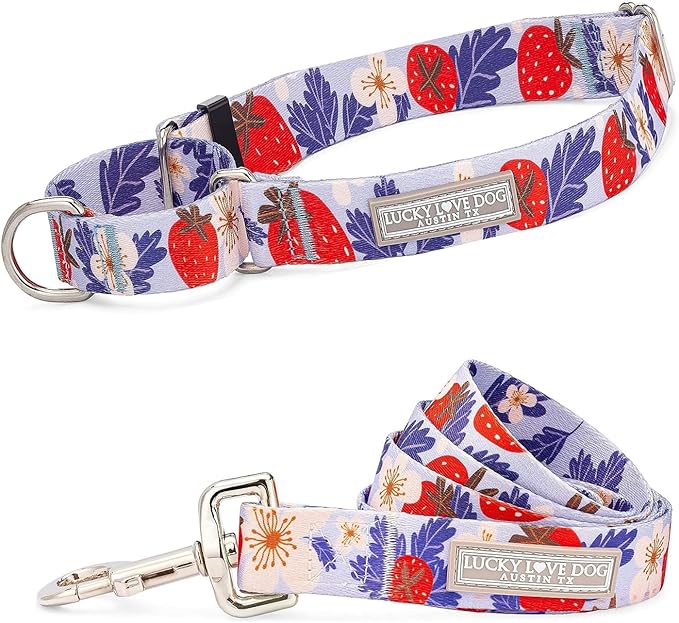 Lucky Love Dog Martingale Collar and Leash Set, Premium Fun Girl No Slip Collars, Strawberry Martingale Dog Collar and Leash Set, Great for Whippets, Greyhounds, and More (Sweet Berry, Small - Combo)