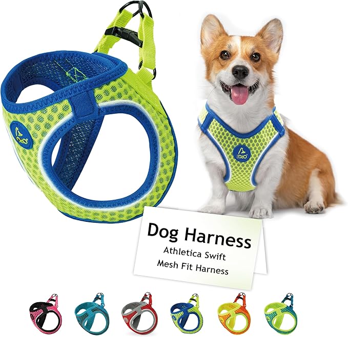 DOCO Dog Harness for Large Sized Dog - Athletica Adjustable, No Pull, No Choke, Puppy Vest Lightweight Air Mesh, Reflective, Puppy Essentials - Lime, X-Large (Chest 20.5"-22", Weight 20-25 lbs)