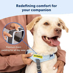 PetSafe Easy Walk Comfort No-Pull Dog Harness Full-Body Padding - Better Walks on The First Use - 5 Points of Adjustment Small/Medium, Blue (Pack of 3)