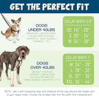 2 Hounds Design - Freedom No-Pull Harness & Training Leash in Green and Blue | Dual Leash Loops, No Pulling on Walks | Lined to Prevent Chaffing | for Small Sized Dogs (Size S, Chest 20”- 24”)