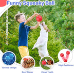Indestructible Squeaky Dog Balls Puppy Toys, Interactive Dog Toys for Small Dogs, Puppy Chew Toys for Teething and Relax, Dog Chew Toy Balls Small Dog Toys for Small Breed, Outdoor Dog Toys