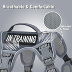 No-Pull Dog Harness for Small Dog Breeds, Anti-Escape Easy Walking Reflective Adjustable Lightweight Dog Vest with Breathable Oxford Material, Easy on Easy Off with Neck Buckle, Gray XS