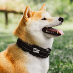 Tuff Pupper Heavy Duty Tactical Dog Collar | 1.5" Wide Ballistic Nylon | Reflective Stitching | Integrated ID Tag Holder | Stainless Steel Buckle | Padded Lining | Medium & Large Dogs (Black, Medium)