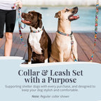 Lucky Love Dog Martingale Collar and Leash Set, Premium No Slip Collar and Leash Set, Great for Whippets, Greyhounds, and More (Blackbird, Small - Combo)