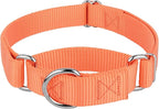 Country Brook Petz - Martingale Dog Collar - Heavy-Duty Training Collar with No Buckle - Service Dog Collar for All Pups - 10+ Warm Colors (Mango, 1 Inch, Medium)