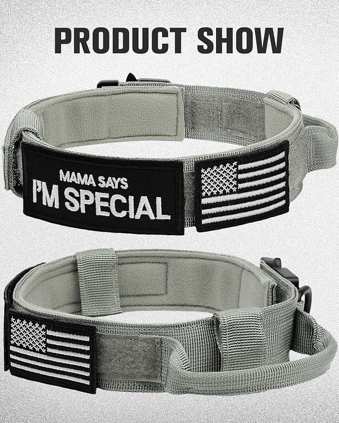 Joytale Tactical Dog Collar with Handle and Metal Buckle, Heavy Duty Padded Military Collar with 2 Patches for Training, Adjustable for Large Dogs, Gray, L