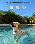 Jugbow Dog Shock Collar - 4200FT Dog Training Collar with Remote Innovative IPX7 Waterproof with 4 Training Modes, Rechargeable E-Collar for All Breeds(PK)