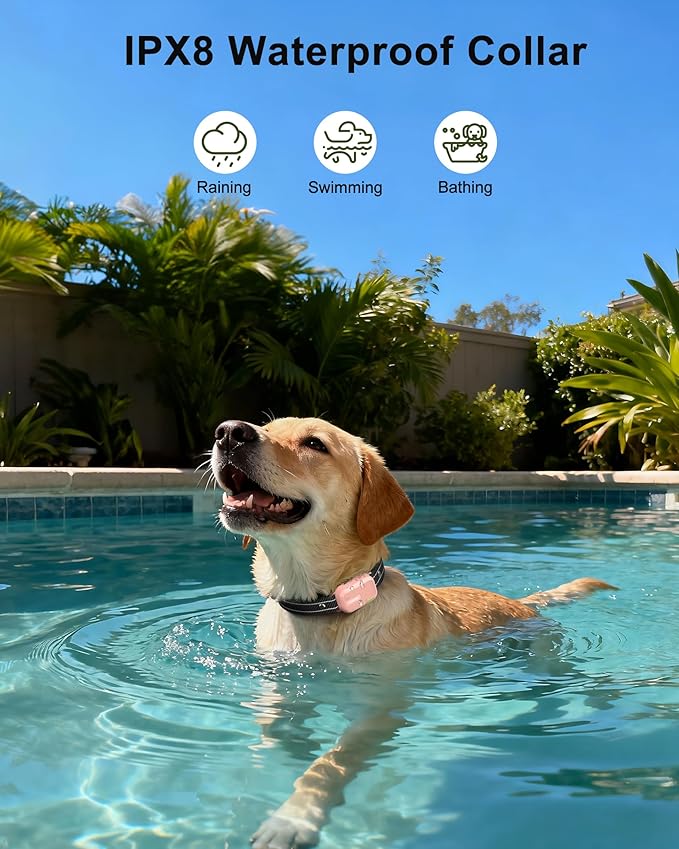 Jugbow Dog Shock Collar - 4200FT Dog Training Collar with Remote Innovative IPX7 Waterproof with 4 Training Modes, Rechargeable E-Collar for All Breeds(PK)