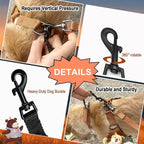 2 Pcs Mini Dog Collar Safety Clips with Double Ended Clasps | Collar Backup Clip for Small Dog Harness & Collars Connectors, Puppy Gentle Lead Companion, Safety Clip - Black