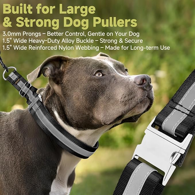 Mayerzon Martingale No Pull Collar for Large Medium Dogs, Patented Dog Walking Training Collar for Pulling, 1.5'' Wide Alloy Buckle, Neoprene Padded, Adjustable, Reflective, Easy to Use (Black, M)