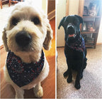 ADOGGYGO American Flag Dog Bandana, Multiple Sizes Offered, Triangle 4th of July Bandanas for Medium Large Dogs (Large)
