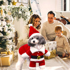 QETRABONE Small Dog Cat Christmas Santa Claus Costume - Red Santa Hat Scarf Cosplay Dressing Up Xmas Party New Year Clothing Accessories (X-Large)